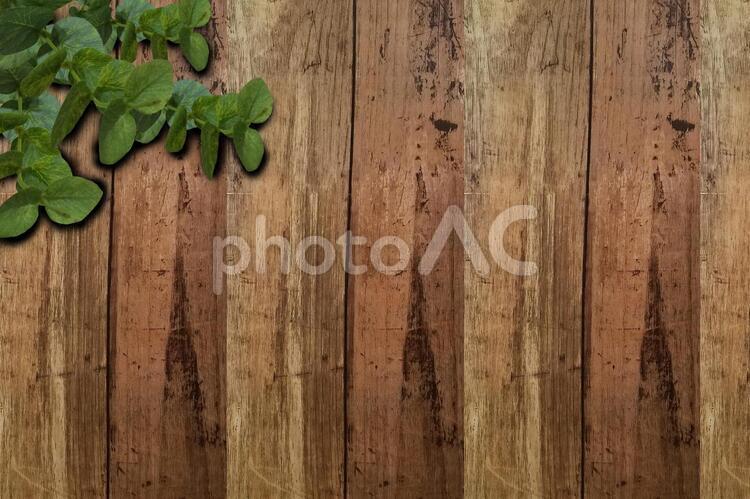 グリーンと木目調の壁紙 木目調,壁紙,背景素材の写真素材
