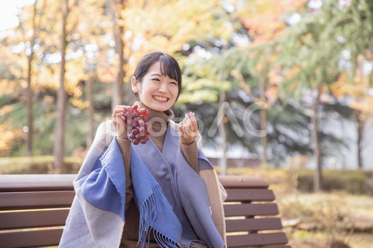 秋の公園でブドウを持つ女性 ブドウ,マスカット,果物の写真素材