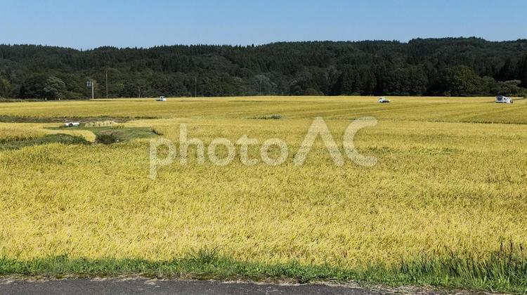 田園風景 秋田県,由利本荘市,にかほ高原の写真素材