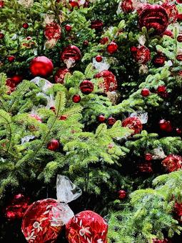 赤いオーナメントのクリスマスツリー クリスマス,クリスマスツリー,クリスマスオーナメントの写真素材