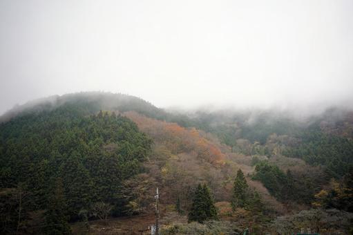 秋の山を覆う朝霧 秋の山を覆う朝霧 山,霧,秋の写真素材