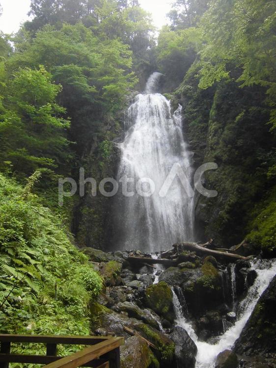 抱返り渓谷　初夏 河川,清流,新緑の写真素材