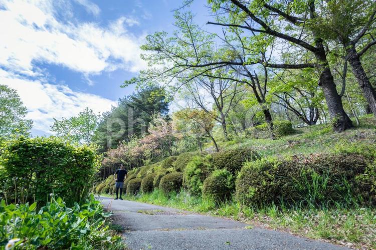 ジョギング・ランニングする男性（立つ） 運動,有酸素運動,ランニングの写真素材