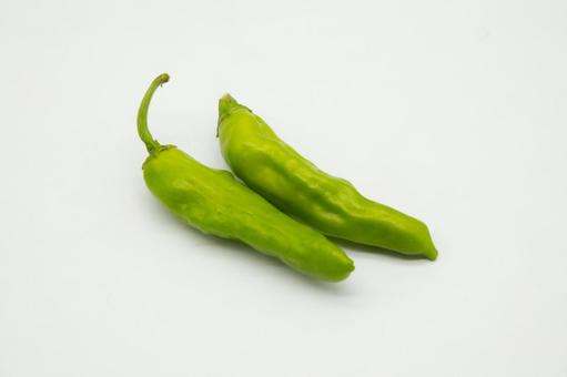 ししとう1 ししとう1 ししとう,トウガラシ,野菜の写真素材