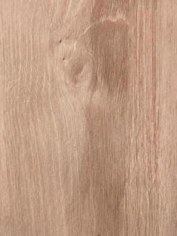 Greige color, beautiful tree ring pattern, wood grain background, JPG Greige color, beautiful tree ring pattern, wood grain background, JPG