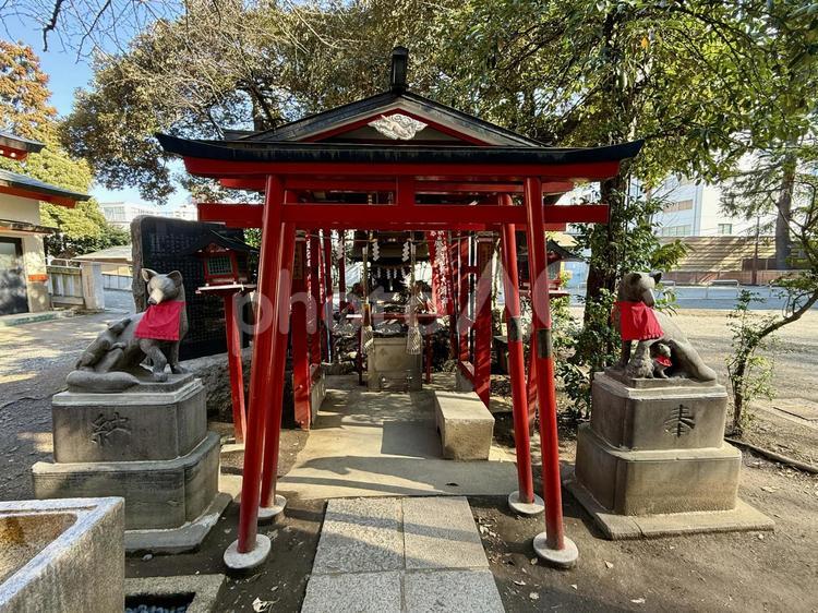花園神社　威徳稲荷神社 花園神社,神社,神社仏閣の写真素材