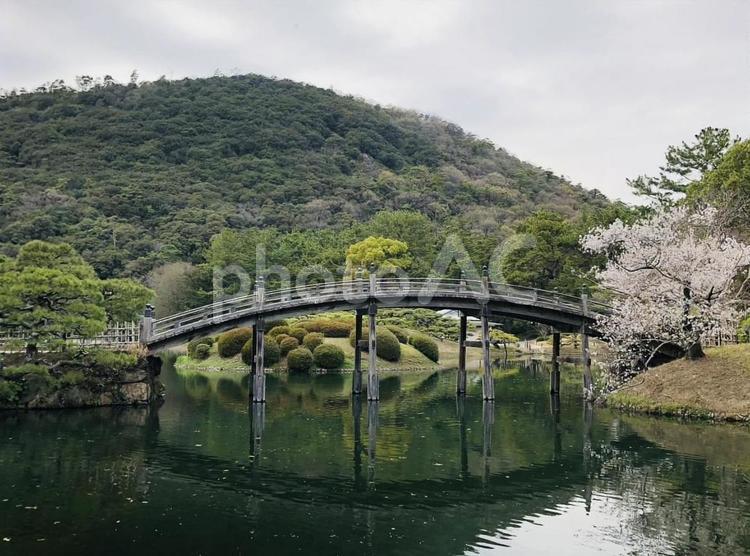 栗林公園 栗林公園,香川県,高松市の写真素材