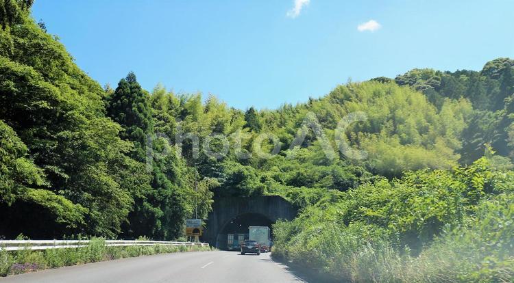 緑のトンネルの中へ吸い込まれる車 トンネル,入口,入るの写真素材