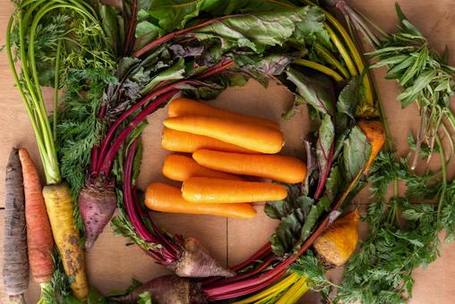 オレンジ色のニンジンを囲む葉 ニンジン,オレンジ色,ビーツの写真素材