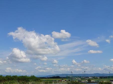 晴れ晴れの写真