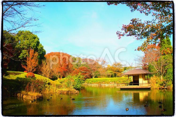 秋の日の日本庭園 日本庭園,秋,紅葉の写真素材