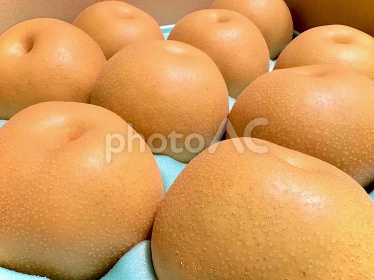箱詰めされた梨 05 梨,なし,有りの実の写真素材
