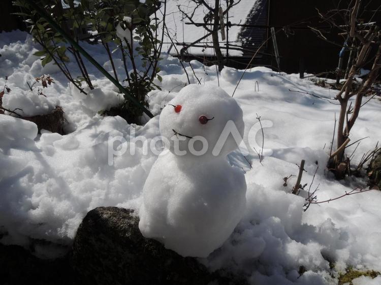 雪だるま 雪だるま,雪,冬の写真素材