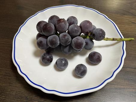 ぶどう ぶどう,果物,フルーツの写真素材