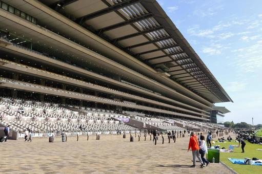東京競馬場スタンド・観覧・スマシエリア  東京競馬場スタンド・観覧・スマシエリア  東京競馬場,応援スタンド,芝生の写真素材