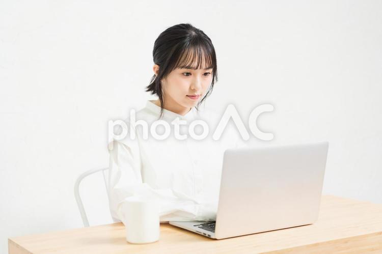 白背景の前でPCを操作する若い女性 パソコン,pc,若いの写真素材