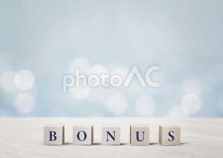 積み木とボーナスの文字 ボーナス,文字,英単語の写真素材