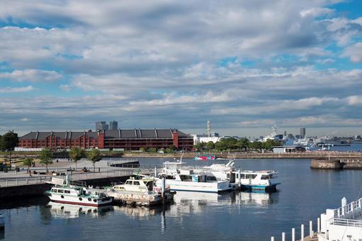 赤レンガパーク前の海を走る水陸両用バス 横浜,赤レンガパーク,横浜港の写真素材