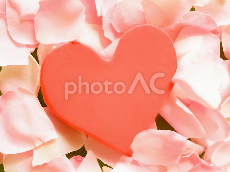 花びらとハート ハート,恋愛,大きいの写真素材