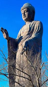 世界一巨大な仏像_2（牛久） 巨大,巨大建造物,巨大仏の写真素材