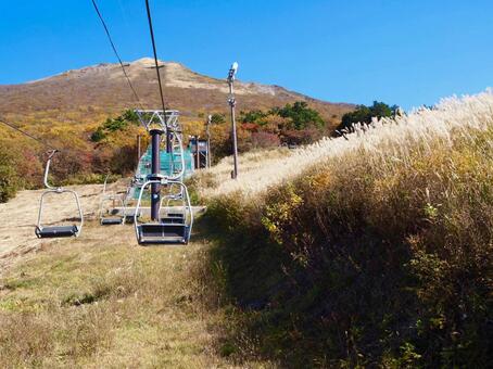 大山とすすき 大山とすすきの写真