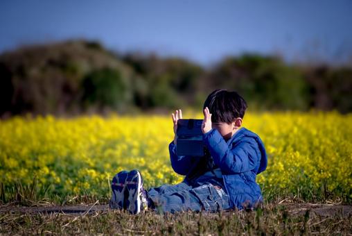 ＜素材＞春の公園で菜の花を撮影する男の子 子供,スマホ,菜の花の写真素材