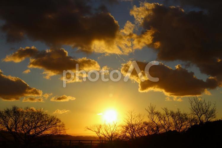 夕日に映える木々のシルエット 夕日,夕焼け,空の写真素材