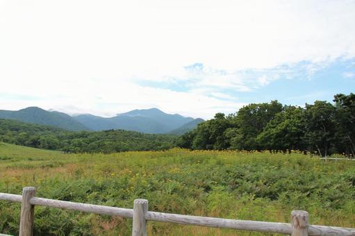 知床4 知床半島,野原,北海道の写真素材
