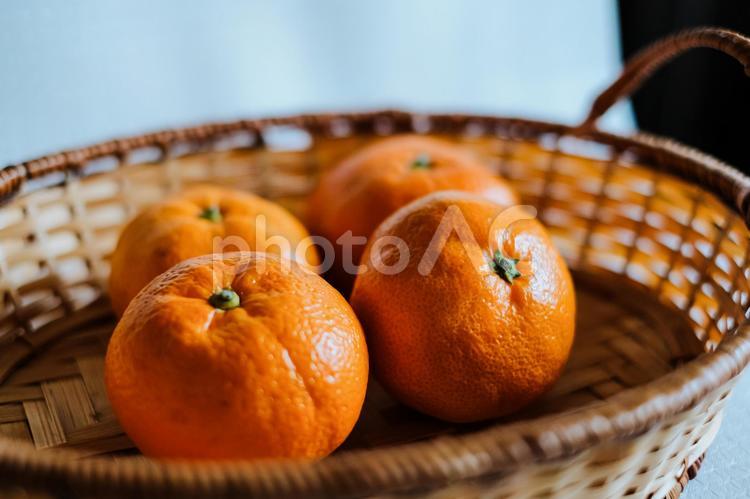 かごの中のみかん２ みかん,柑橘系,冬の写真素材