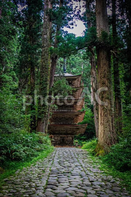 山形県　羽黒山五重塔 風景,草木,草の写真素材