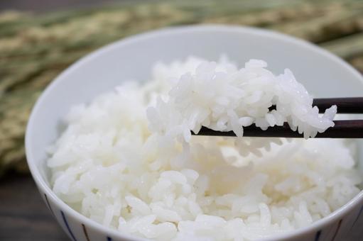 ご飯 ご飯の写真