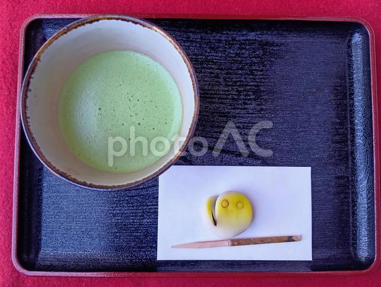 六義園のお茶屋さんにて 食べ物,お抹茶,和菓子の写真素材