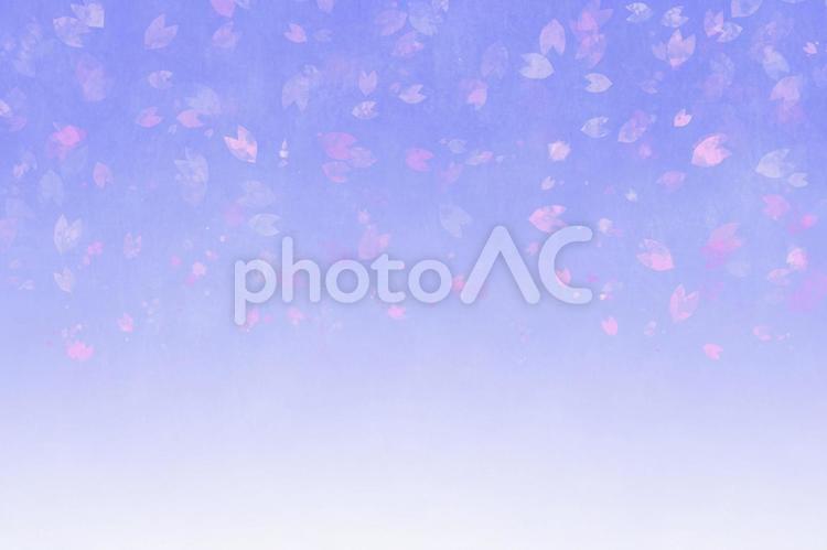 桜の花びらの背景素材 桜,花びら,背景の写真素材