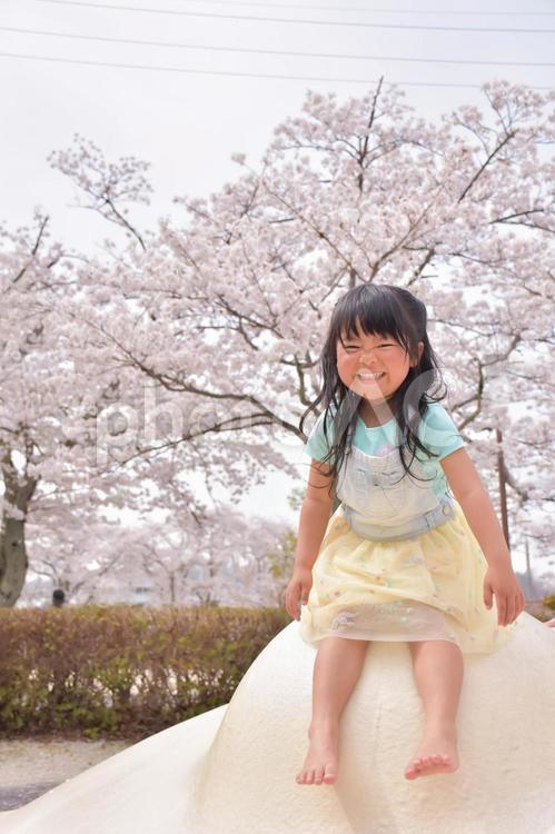 桜と女の子 桜,春,子供の写真素材