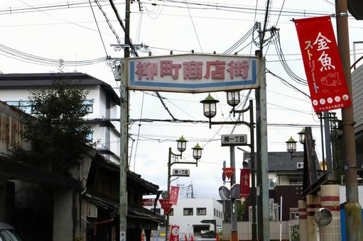 柳町商店街・金魚ストリート 大和郡山市 柳町商店街・金魚ストリート 大和郡山市 柳町商店街,やなぎまち商店街,金魚ストリートの写真素材