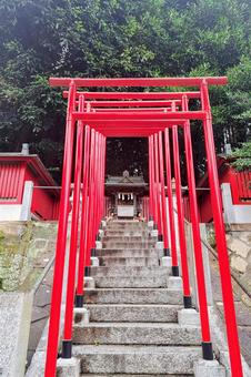 連なる鳥居 連なる鳥居の写真