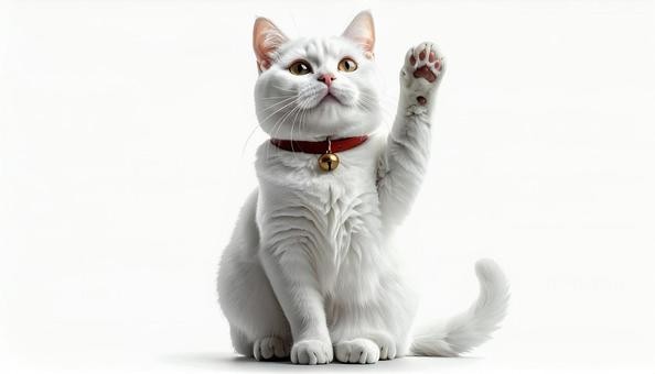 手を挙げる猫の写真