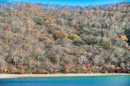 水辺の赤紅葉と白樺 風景,青空,晴れの写真素材