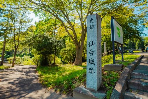 【宮城】仙台城跡 【宮城】仙台城跡 宮城,仙台城跡,仙台の写真素材