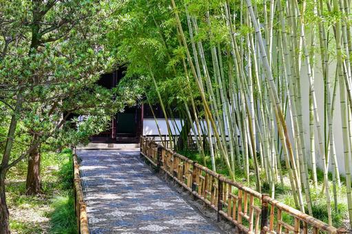 蘇州・留園 蘇州・留園 蘇州,留園,世界遺産の写真素材