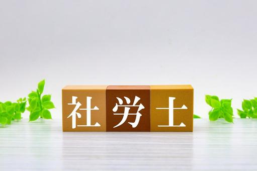 社労士のタイトル画像 社労士のタイトル画像 社労士,社会保険労務士,労働法の写真素材