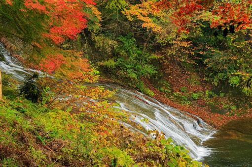 養老渓谷 養老渓谷,粟又の滝,滝の写真素材