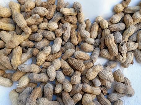 自家製落花生 自家製落花生 お菓子,おやつ,食べ物の写真素材