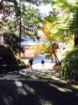 朝のお寺 朝のお寺の写真