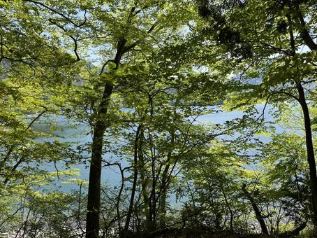 中禅寺湖　湖畔 中禅寺湖,日光,栃木の写真素材