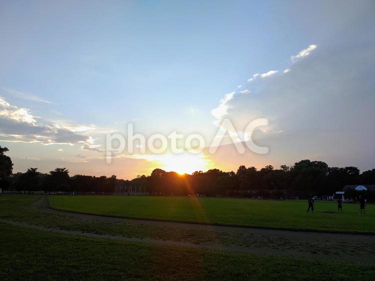 公園の夕方 広場,太陽,光の写真素材