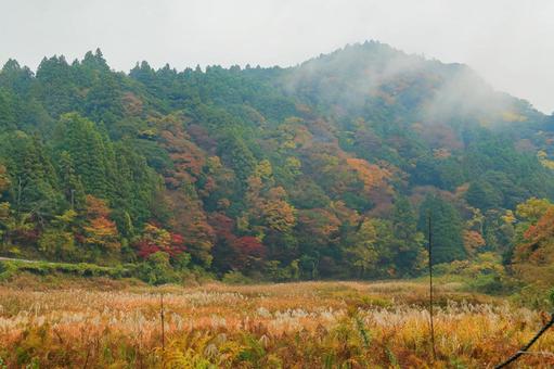 養老渓谷 養老渓谷,紅葉,秋の写真素材