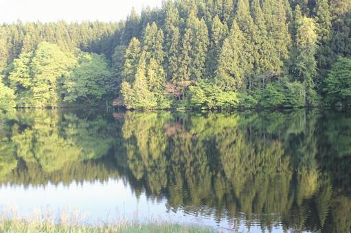 自然の湖 自然の湖の写真