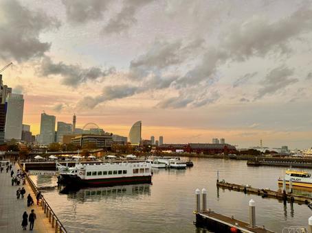 夕方の象の鼻パーク 横浜,象の鼻パーク,みなとみらいの写真素材