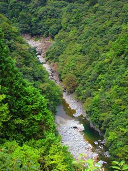 徳島県-祖谷渓-七曲からの風景 徳島県-祖谷渓-七曲からの風景の写真